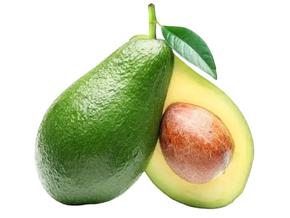 avocado-benefits