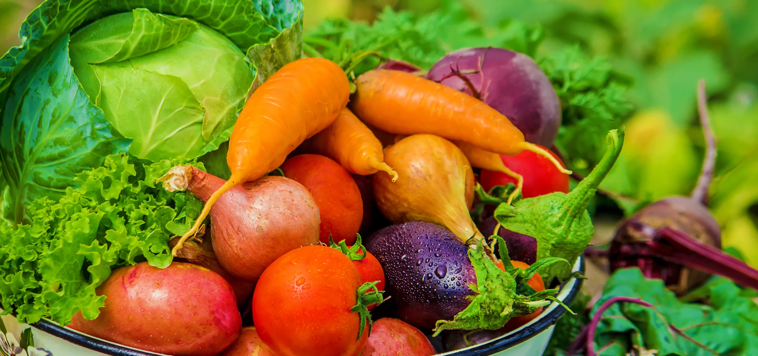 Crop Nutrition Solutions for Agricultural Crops | AG Technologies